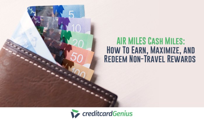 How To Maximize The Air Miles Rewards Program | creditcardGenius